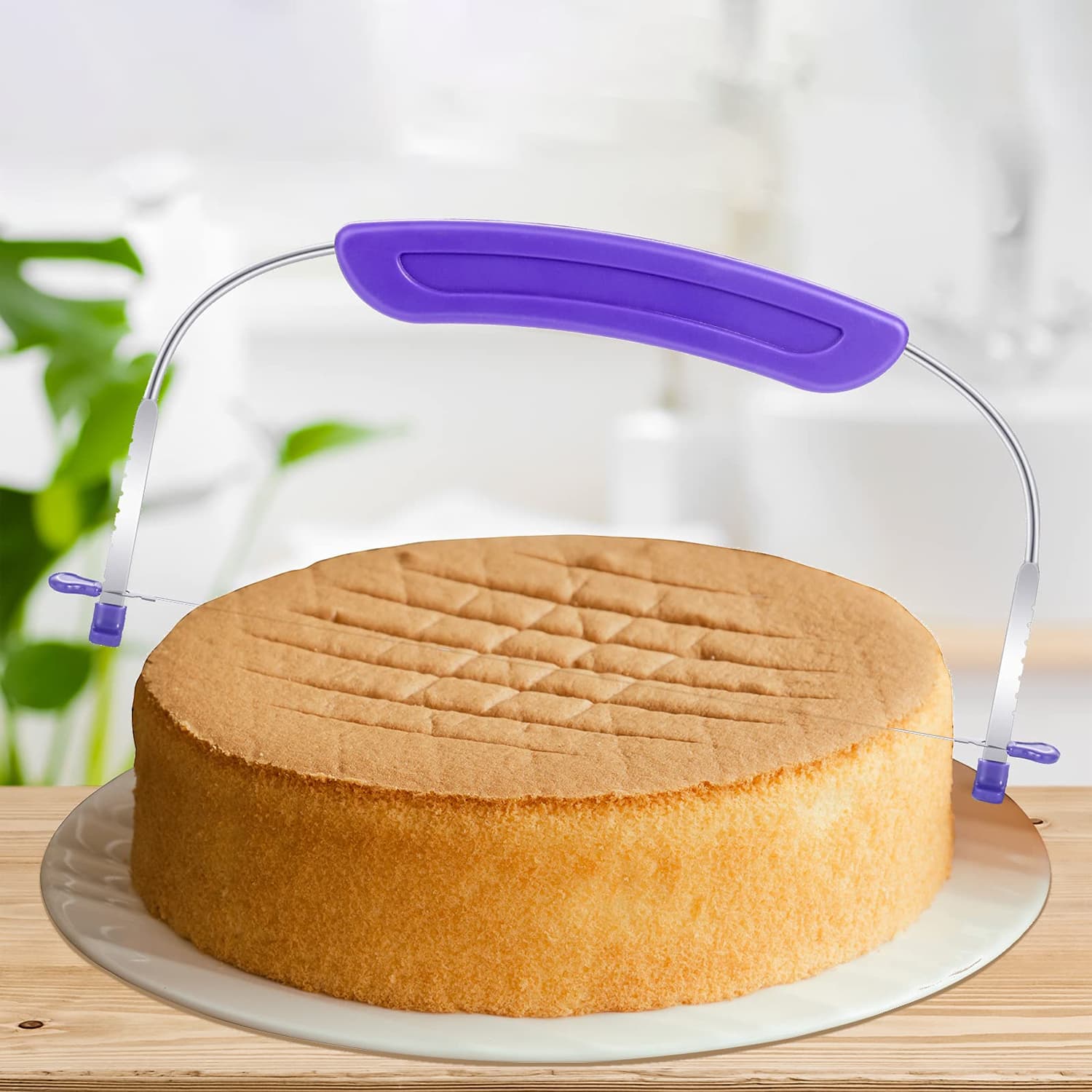 Cake Levelers